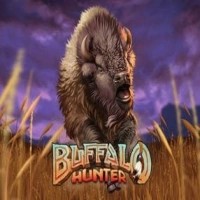 Buffalo Hunter logo by Nolimit City at Love CasinoBuffalo Hunter