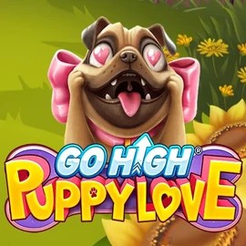 game logo by RubyPlay on lovescasinoo.co.uk